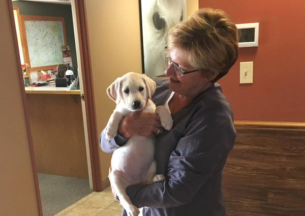 Carousel Slide 3: Elkhorn Puppy Care