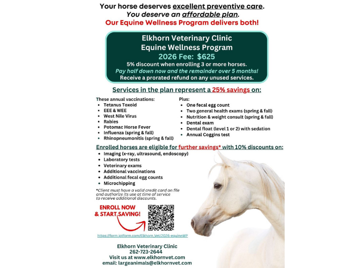 Equine Wellness Program