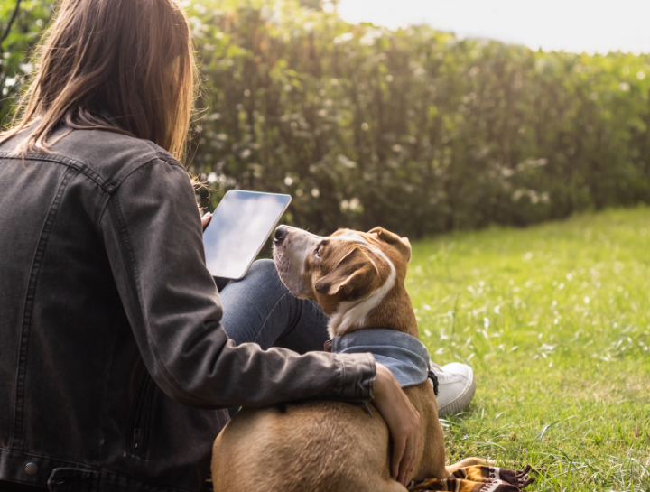 At Your Fingertips - Your Pet’s Medical Records Anytime, Anywhere