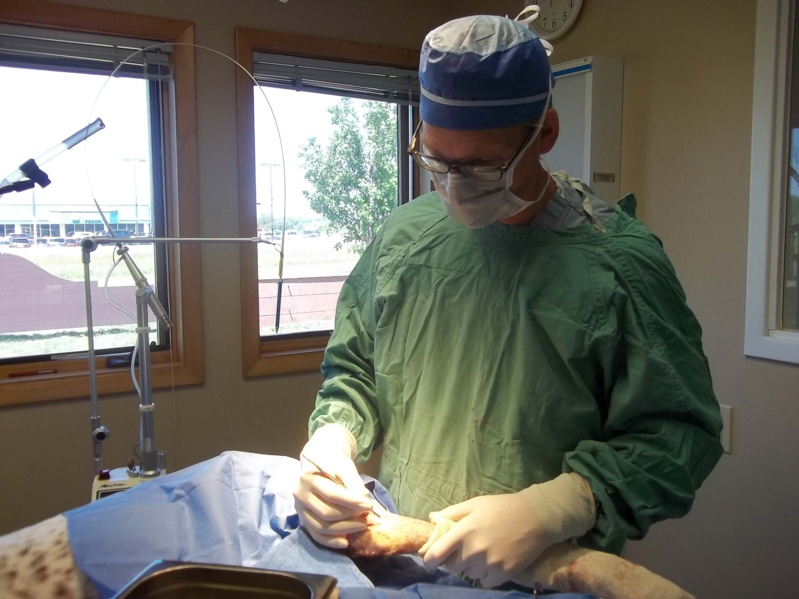 Orthopedic Pet Surgery